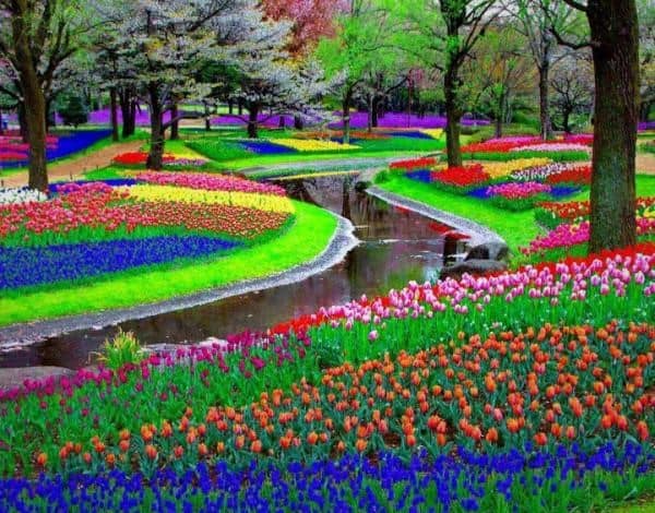 Цветочный парк Кёкенхоф (Нидерланды)