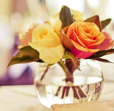 Как сохранить розы в вазе свежими